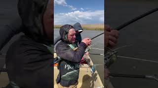Рыбалка в Астрахани #рыбалка #fishing #астрахань