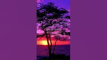 ما تيسر من سورة محمد | القرآن الكريم | القارئ ماهر المعيقلي