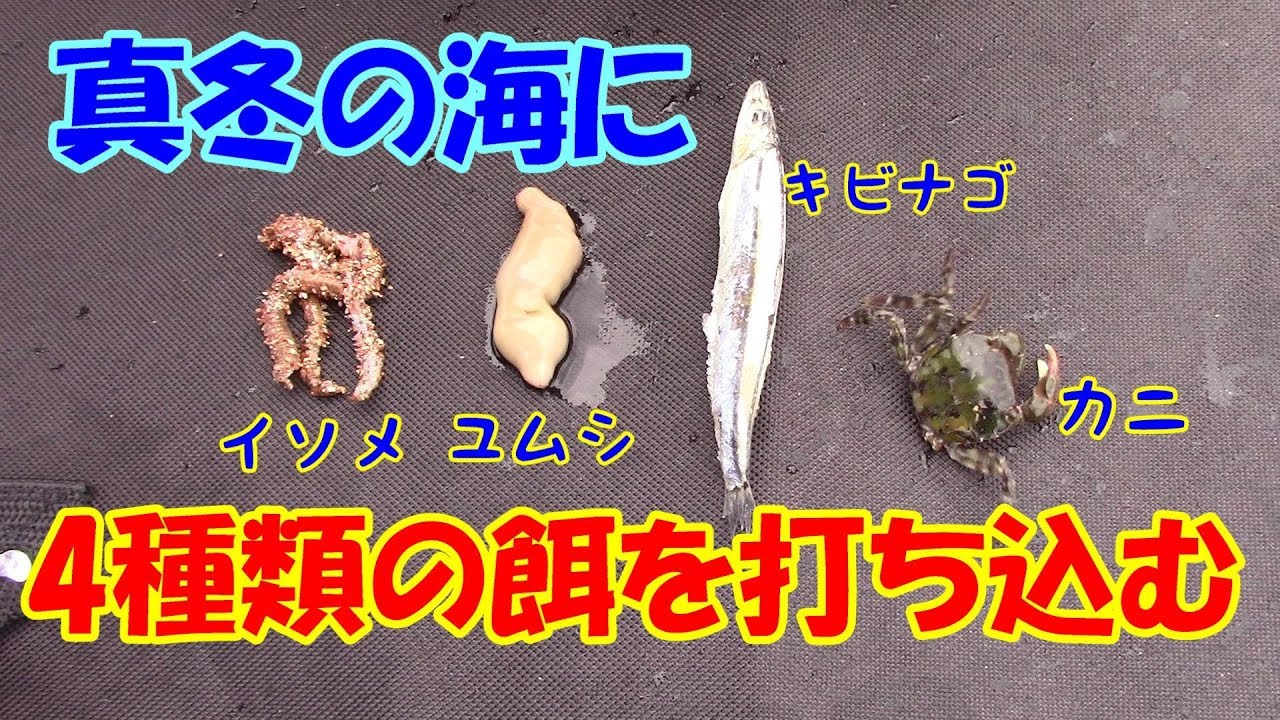 ぶっこみ釣り 4種類の餌を真冬の海に打ち込む Youtube