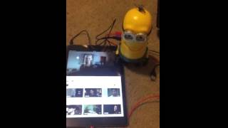 Minion Speaker