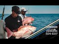 South Carolina Bottom Fishing Groupers and Giant Red Snappers  - S04 E07 Ohh Carolina