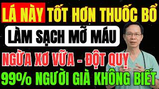 BÁC SĨ TIẾT LỘ: UỐNG LOẠI LÁ NÀY Giúp Làm SẠCH MỠ MÁU, Giảm Nguy Cơ XƠ VỮA ĐỘNG MẠCH Và ĐỘT QUỴ!
