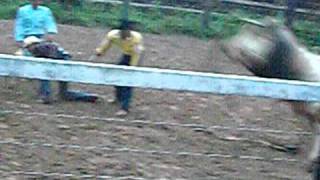 Mauro X Retrato Falado