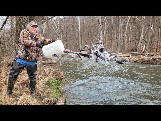 2015 PA Fishing License Buttons are available! 