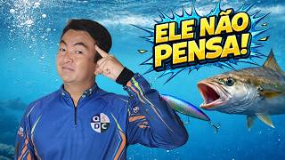 Peixe não pensa: 10 motivos que explicam cada ataque à isca artificial