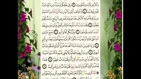 سورة الجاثية بصوت الشيخ محمد أيوب تلاوة بخشوع ورقة لا توصف 🍀🍀🍀