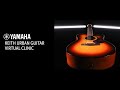 Yamaha Keith Urban Guitar Virtual Clinic