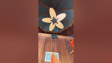 Fanimation Windpointe ceiling fans at islands (2021 remake)