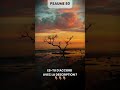 Quand nous avons besoin d’être relevés - Psaume 80 - Bible Audio