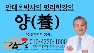 양(養) (십이운성) 신살명리학55쪽 (갑술명리학)