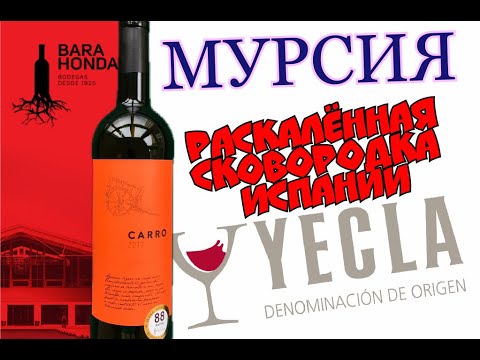Видео: Вино Txakoli - идеальное испанское летнее вино