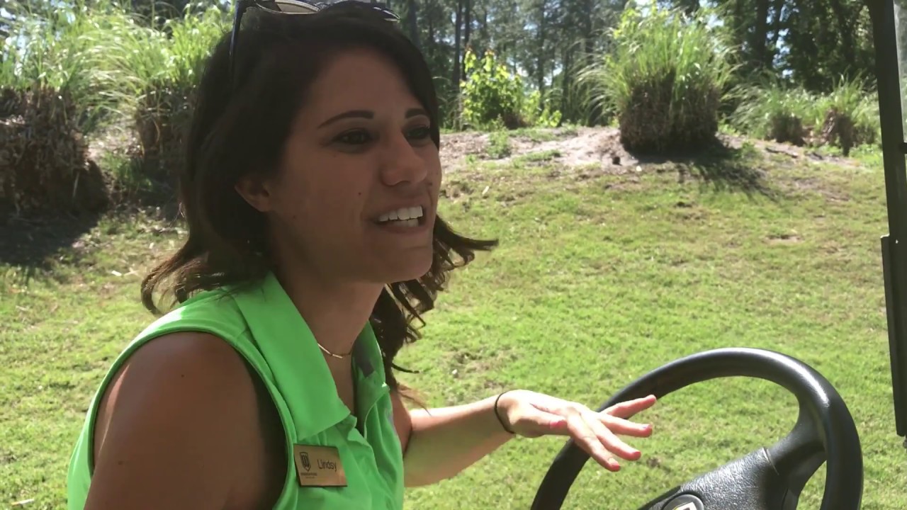 Golf Course Cart Girls Golf Course Cart Girls