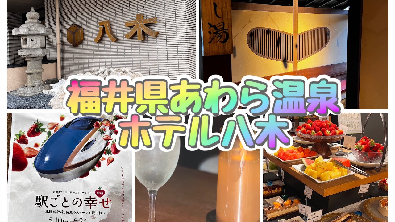 【福井県あわら温泉　ホテル八木】