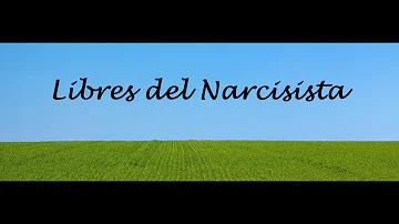 ¿Qué es un suministro para un narcisista?