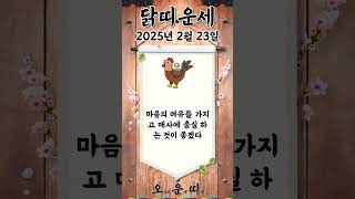 오늘의 닭띠 운세 2025년 2월 23일 #닭띠 #오늘의운세 #내일의운세 #운세 #운세쇼츠