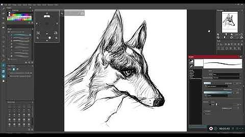 Sketches : Tifa Corgi : 001  [Open Canvas]