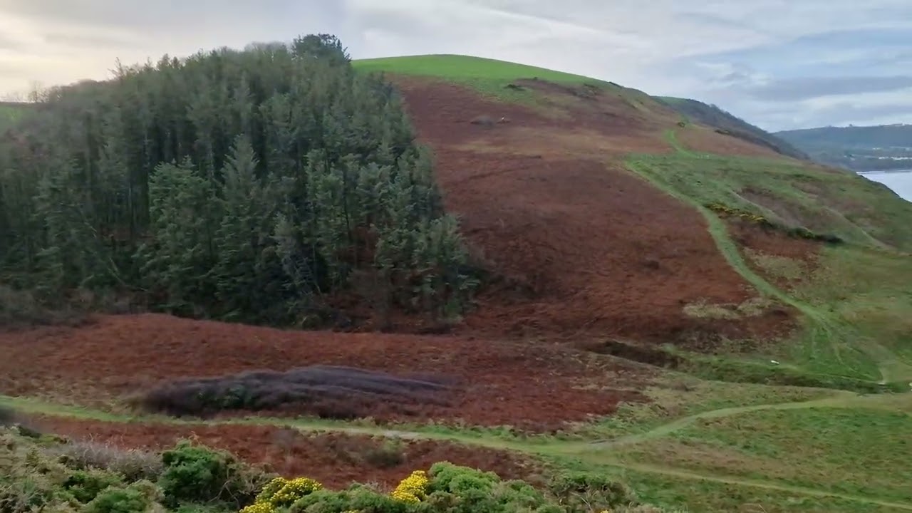 Coastal Walk Gilfach to New Quay Part 1