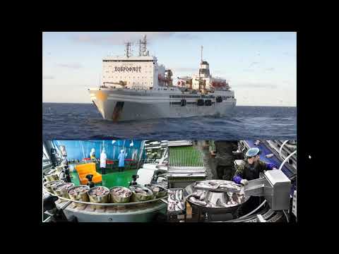 Моря, омывающие территорию России