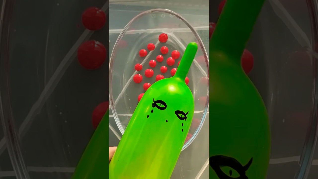 yo wtf is this? 🤨