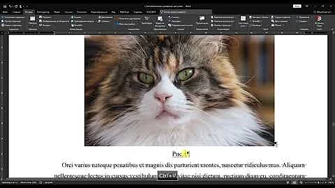 1. Автоматическая нумерация рисунков в Word