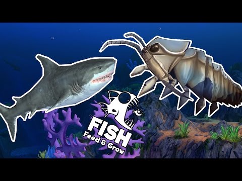 Video CÁ MẬP TRẮNG VS RỆP BIỂN KHỔNG LỒ!!!|Feed and Grow:... - youtube