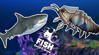 CÁ MẬP TRẮNG VS RỆP BIỂN KHỔNG LỒ!!!|Feed and Grow: FISH[23]