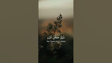 وخلق كل شىء وهو بكل شىء عليم 🌿 القارئ ياسر الدوسري❤️‍🩹🌿