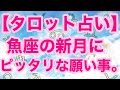 【タロット占い】魚座の新月にピッタリな願い事。