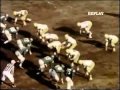 1960 Championship Game   Eagles vs Greenbay Packers
