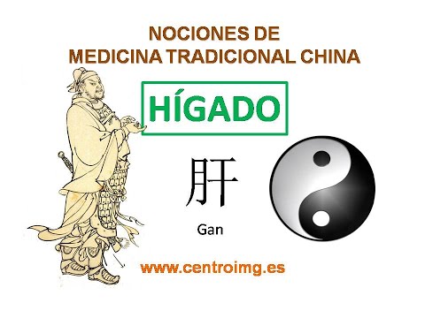 14. El Hígado: el general del cuerpo. Medicina Tradicional China. Centro IMG