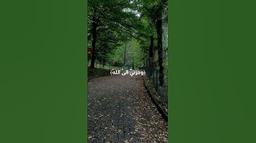 #المنشاوي #سورة_يوسف  #شورت #قران_كريم  #قرآن