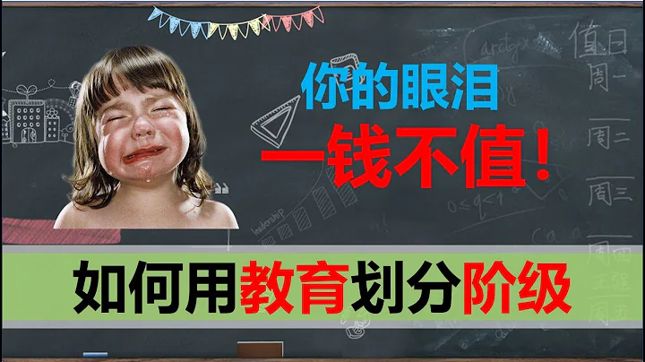 【2020十五期】兩種不同的教育，最有效率的階級劃分 - 天天要聞