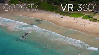 Hapuna Beach Virtual Tour | VR 360° Travel Experience | Big Island, Hawaii Hawai'i