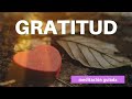 💫Meditacion de la GRATITUD 🙏 | El Poder de AGRADECER (10 minutos)