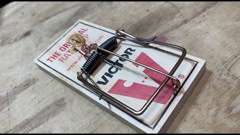 How to set up the Victor Original Rat Trap