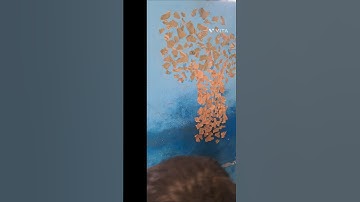 collage making Activity