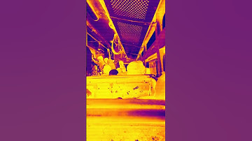 MSRTC Bus #shorts #msrtc #bus