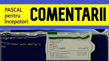 Invatam Pascal 9 - Comentarii
