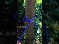 This method of tying is very simple and easy to understand #knots #rope #shorts #youtubeshorts