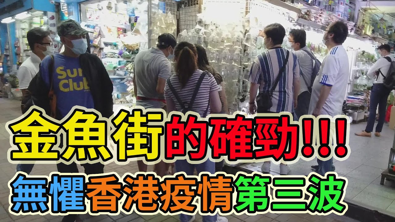 金魚街的確勁 無懼香港疫情第三波實拍太子近況西洋菜街通菜街旺角花園街始創中心聯合廣場 Youtube