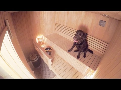 Video: Kuinka Rakentaa Koiran Kennel