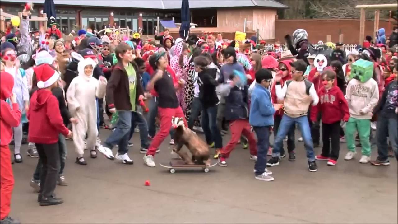 BEST HARLEM SHAKE comipilation ( KIDS FUN EDITION ) Baauer
