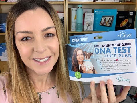 Video: Kan mitt DNA-test vara fel?