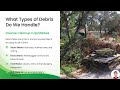 Debris Removal Service Near Me | Fast Cleanup