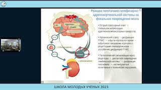 Глюкокортикоиды и постинсультные когнитивные расстройства - Гуляева Наталия Валерьевна