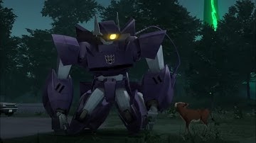 Shockwave loves cows
