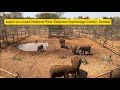 Japan to Zambia | Lusaka National Park Safari | Elephant Orphanage Center| Part I