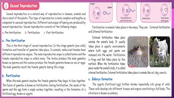 5th STD | Science | term 3 | Unit 2 | Animals | Part 1 | Lets Learn
