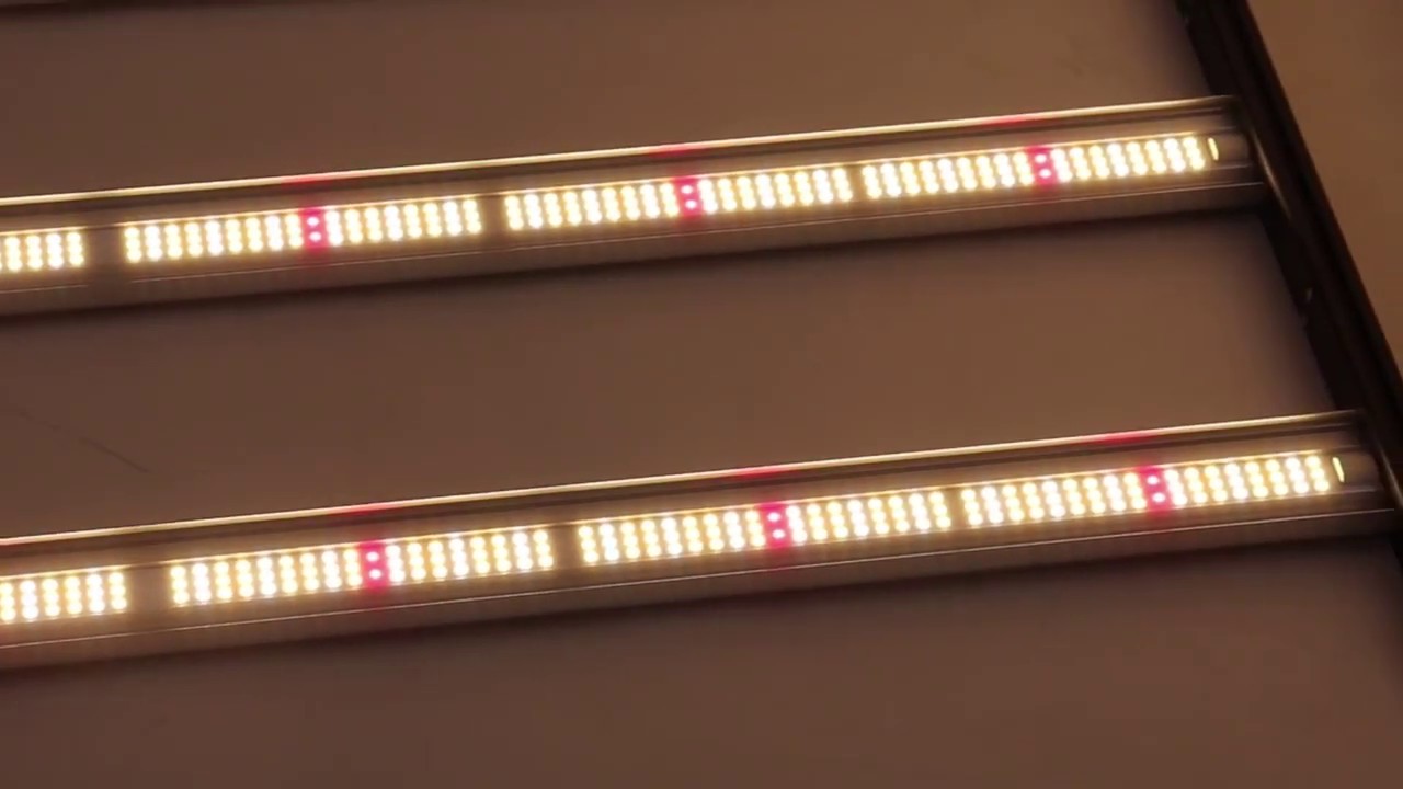 RX-G120L-K3 horticultural LED medicinal plant led grow light - YouTube