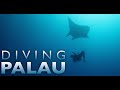 Diving Palau Part 1